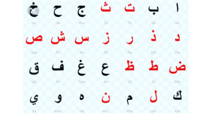 курсы арабского языка